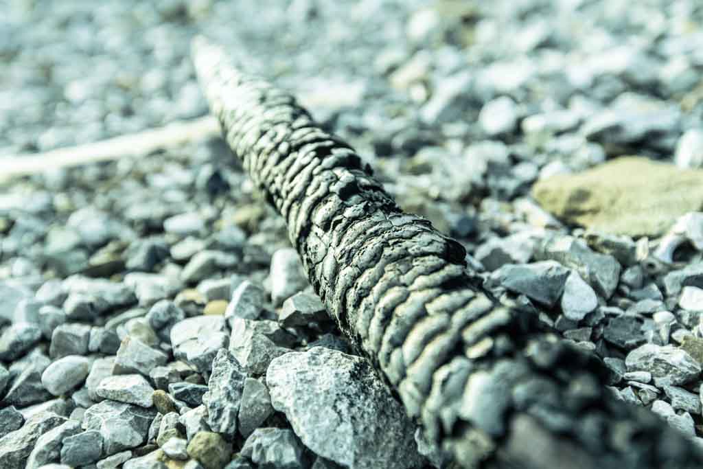 ricordasempre. dal racconto d’autunno